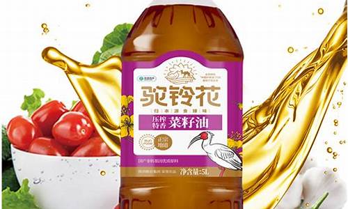 申花压榨菜籽油价格_申花菜籽油是哪生产的
