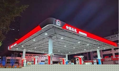 新蔡中石化第一加油站油价多少_新蔡中石化第一加油站油价