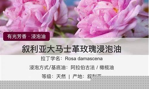 叙利亚产油量_叙利亚玫瑰油价格