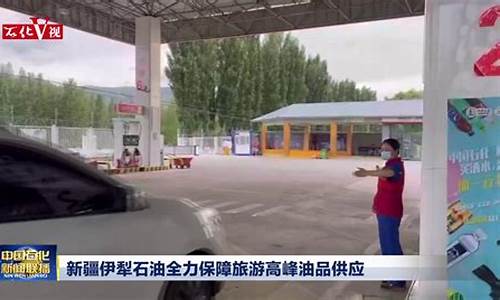 新疆伊犁石化油价多少_伊犁油价92号汽油价格