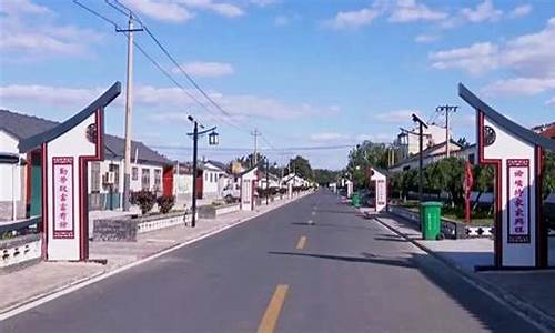 潍坊市三安子村加油站油价多少钱_潍坊市三安子村加油站油价
