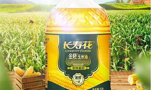 长寿花玉米油价格表_长寿花玉米油怎么样 知乎