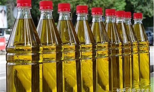 豆油和棕榈油价格哪个贵_豆油和棕榈油哪个好