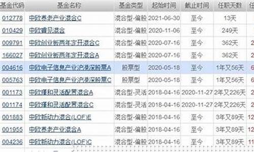 中欧价值优选基金概况_中欧基金价值策略组合