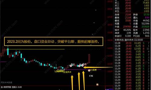 股票异动金价走势_股票异动金价走势分析