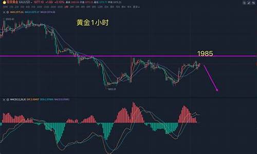 金价是否触及短线_金价持续下跌意味着什么
