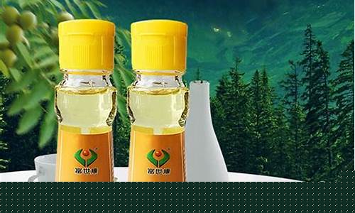 汇智源核桃油价格_汇友金核桃20罐价格