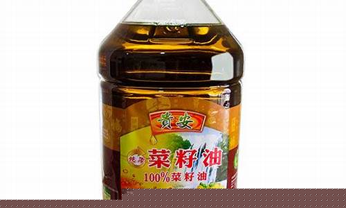 贵州安顺油价92汽油价格_贵州安顺食用油价格多少