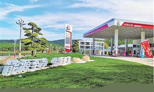 中石化云南油价今日价格_中国石化云南公司油价