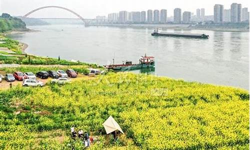泸州市合江县今天油价表_四川泸州合江发现油河在哪里