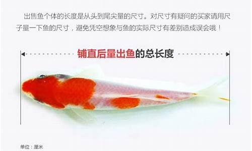 红白鎏金价格差距太大怎么办_红白鎏金价格差距太大