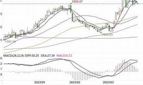 1410金价回调_金价跌回300