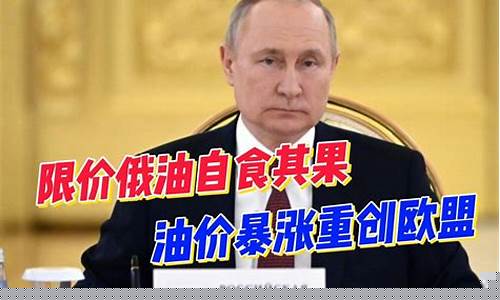 普京加油_普京回答油价问题