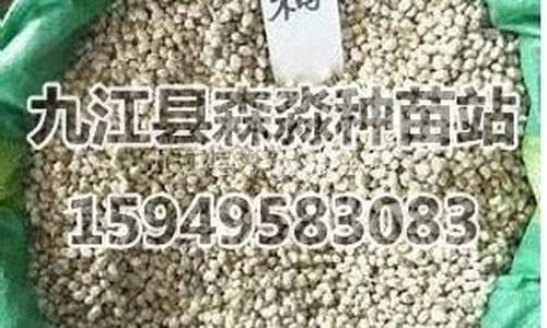 乌柏子油价格多少钱一斤_乌桕树子油多少钱一斤