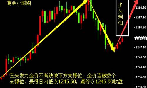 金价触底反弹发展_金价大幅度下跌