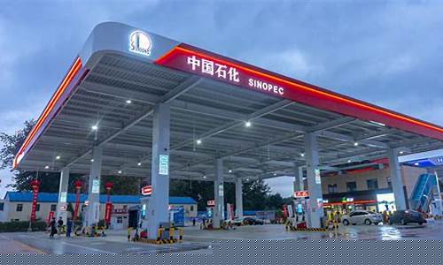 新蔡中石化第一加油站油价多少_新蔡中石化第一加油站油价
