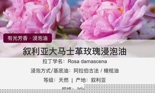 叙利亚玫瑰油价格_叙利亚玫瑰纯露精油纯进口