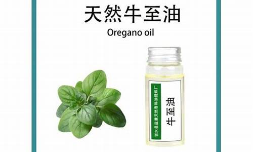 天然牛至草提取牛至油价格_兽药牛至油功效与作用