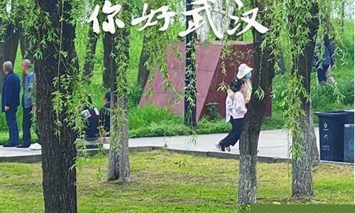 武汉油价走势图_油价即将调整武汉