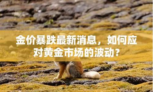 金价最新走势预测_金价暴跌最新消息