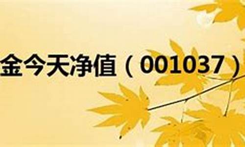 001037基金价_001039基金行情