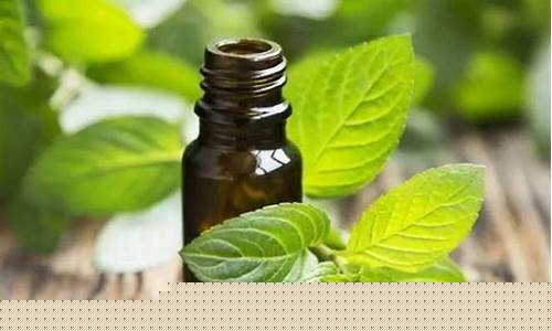 薄荷油价格多少一斤_薄荷油价格多少钱一吨2020年