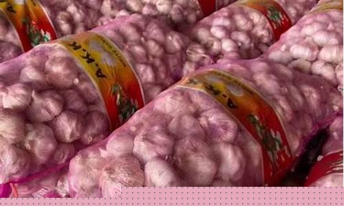 今日河南大蒜价格_河南大蒜金价行情