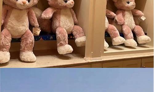 迪士尼物品寄存价格_迪士尼寄存金价格查询