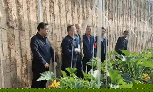壶关新闻壶关油价_壶关吧 百度贴吧