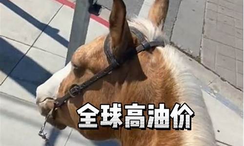 全球油价大涨_全球油价都在涨吗