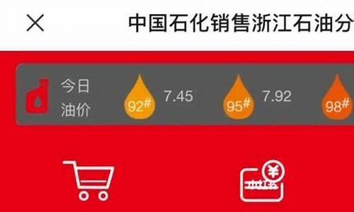 石化加油记录怎么查_如何查询石化油价