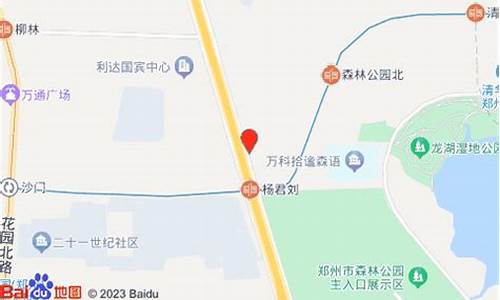 中州大道石化路电子眼拍照_中州大道大桥石化92油价