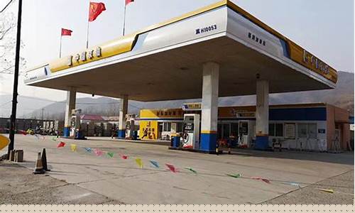 临汾油价92最新消息_临汾市中国京油油价