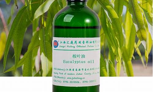 甘肃省桉叶油价格_甘肃省桉叶油价格最新消息