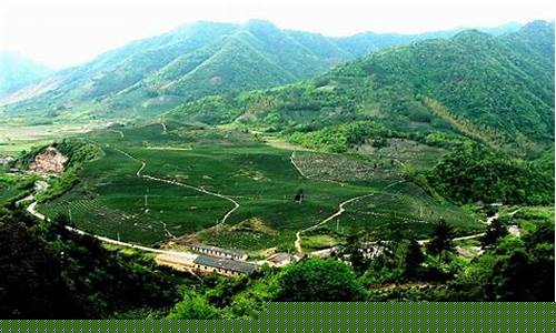 罗田县七道河加油站油价_七道湾加油站电话