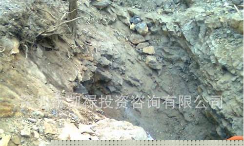 高品位金矿石_高品位金矿怎么提金价