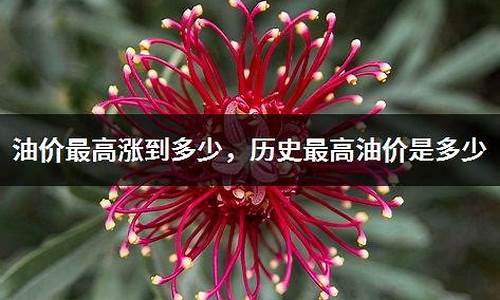 油价最高限价是多少_官方油价最高多少