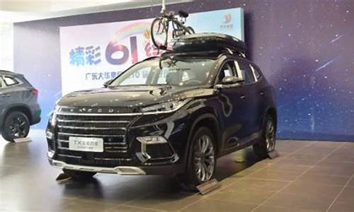 星途tx黑色_星途黑金价格多少