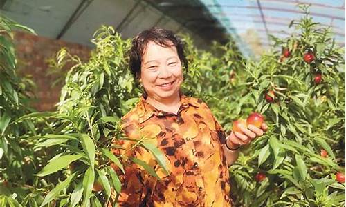 准格尔旗油价调整_准格尔旗油价调整时间表