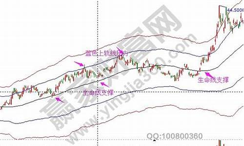 2019年金价暴跌_2019年金价上涨的原因