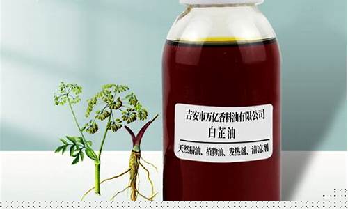河北省白芷油价格行情_今日白芷价格行情