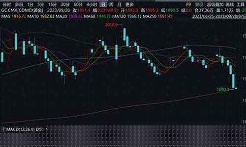 投资金价实时行情_投资金价实时行情查询
