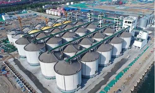 秦皇岛中石化油价今日价格95_河北秦皇岛中石化的油价