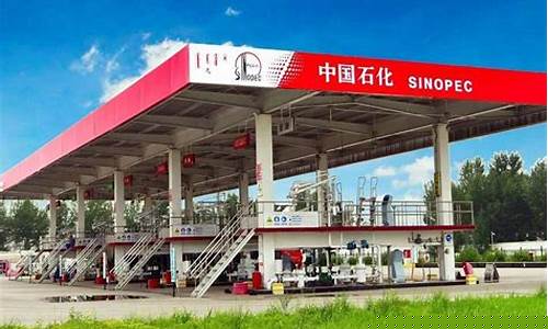 天津石化加油优惠日是星期几_中石化天津满发加油站油价