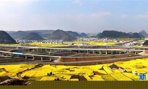 贵州天柱油茶基地_贵州天柱油价多少